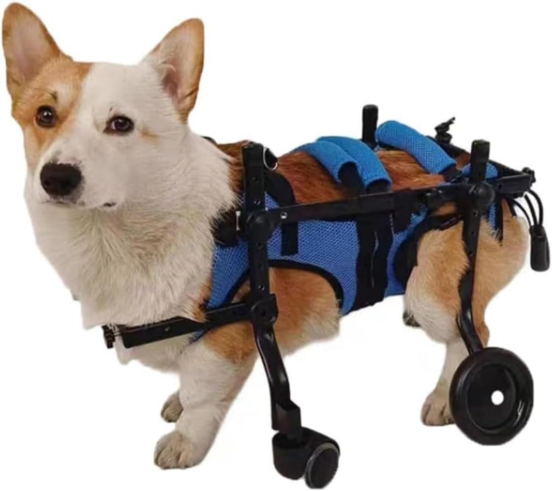 犬用 車いす 車椅子 小型 中型 ペット用 4輪歩行器 リハビリ 介護 老犬 S